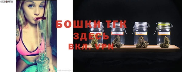 mdpv Вяземский
