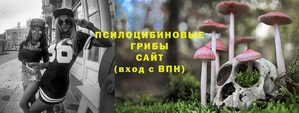 мдма Горняк