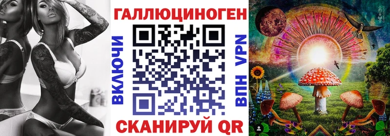 Галлюциногенные грибы мицелий  купить наркотики цена  Нолинск 